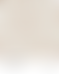 Swatch of clay sand dollar fabric