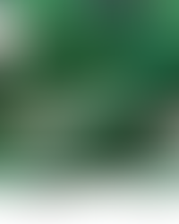 Swatch of tropical greens fabric