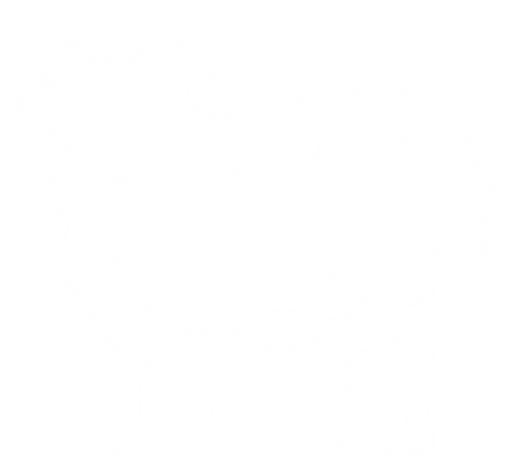 Schaf