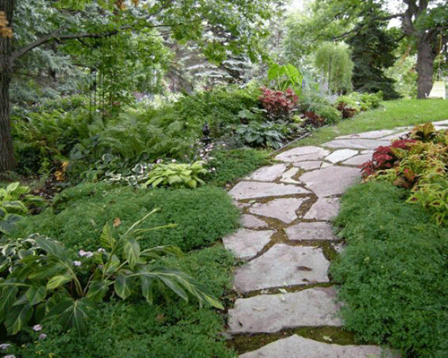 Crazy paved path