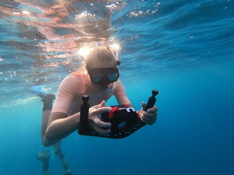 Marine turtle conservation, Red Sea Project Egypt