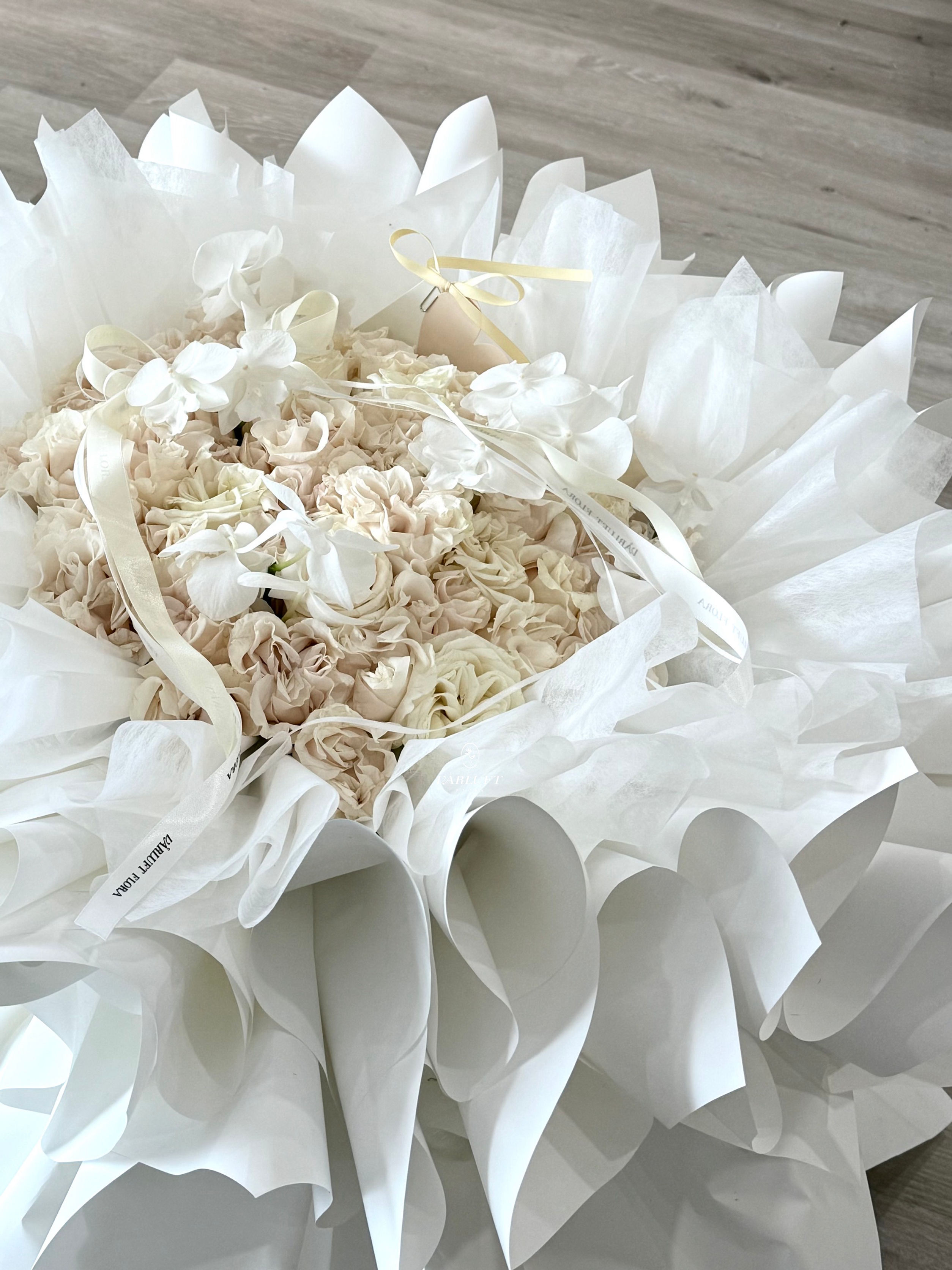 Softly White