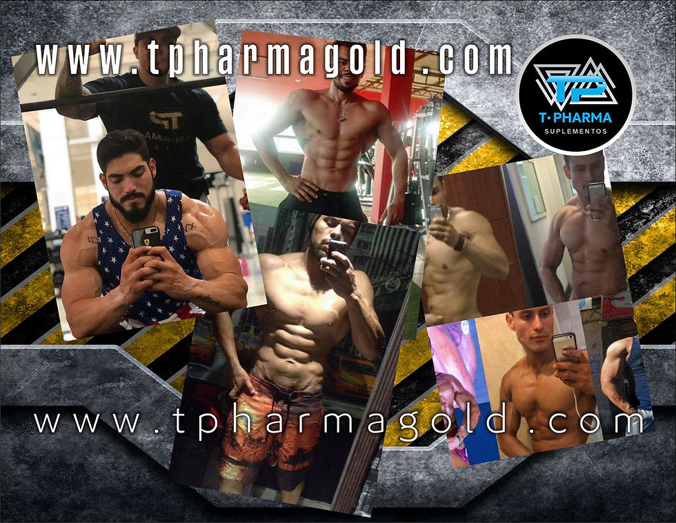 Miniatura: ABS + CHEST+ LEGS MAX VOLUME  FOR MEN