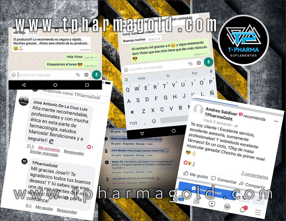 Miniatura: ABS + CHEST+ LEGS MAX VOLUME  FOR MEN