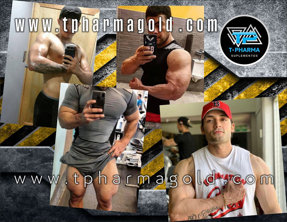 Miniatura: ABS + CHEST+ LEGS MAX VOLUME  FOR MEN