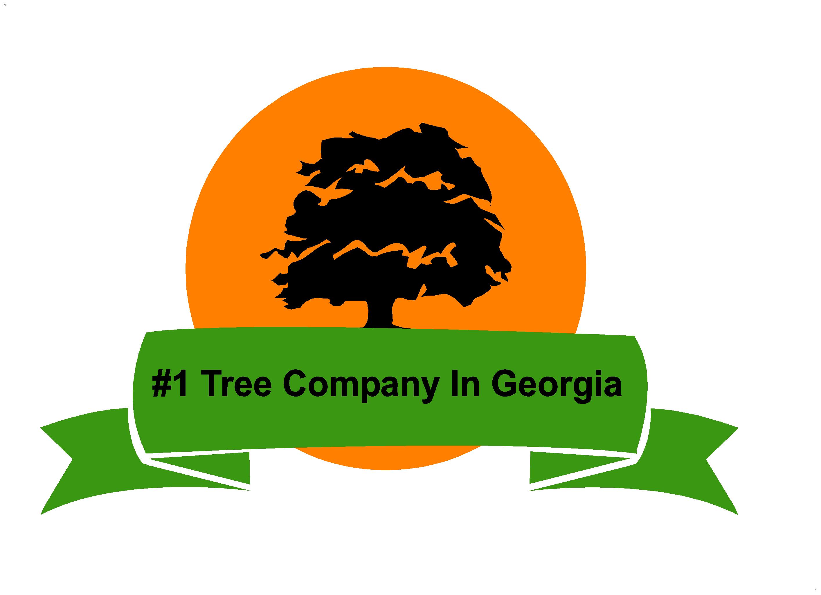 Exceed Tree Care
