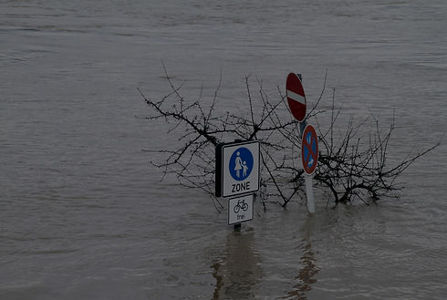 flooded field