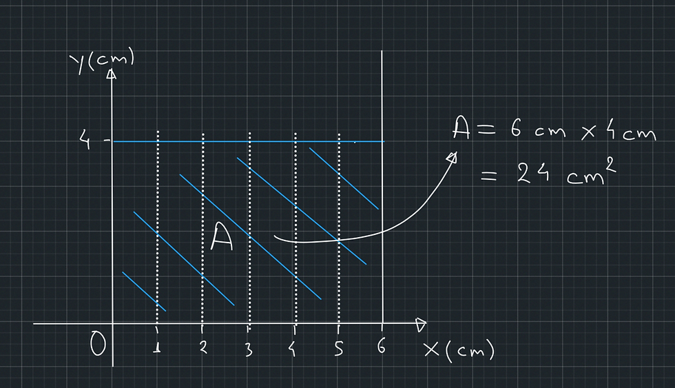 Figure 2. The dotted lines represent vertical cross-sections of the tank at various points across its width.