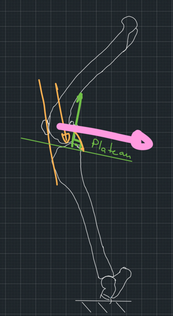 Figure 4. Orange line: The direction of the patellar tendon. Orange vector: The tibiofemoral force. Green vector: Reaction force from the tibia. Pink vector: Direction of slipping of the femur on the plateau.