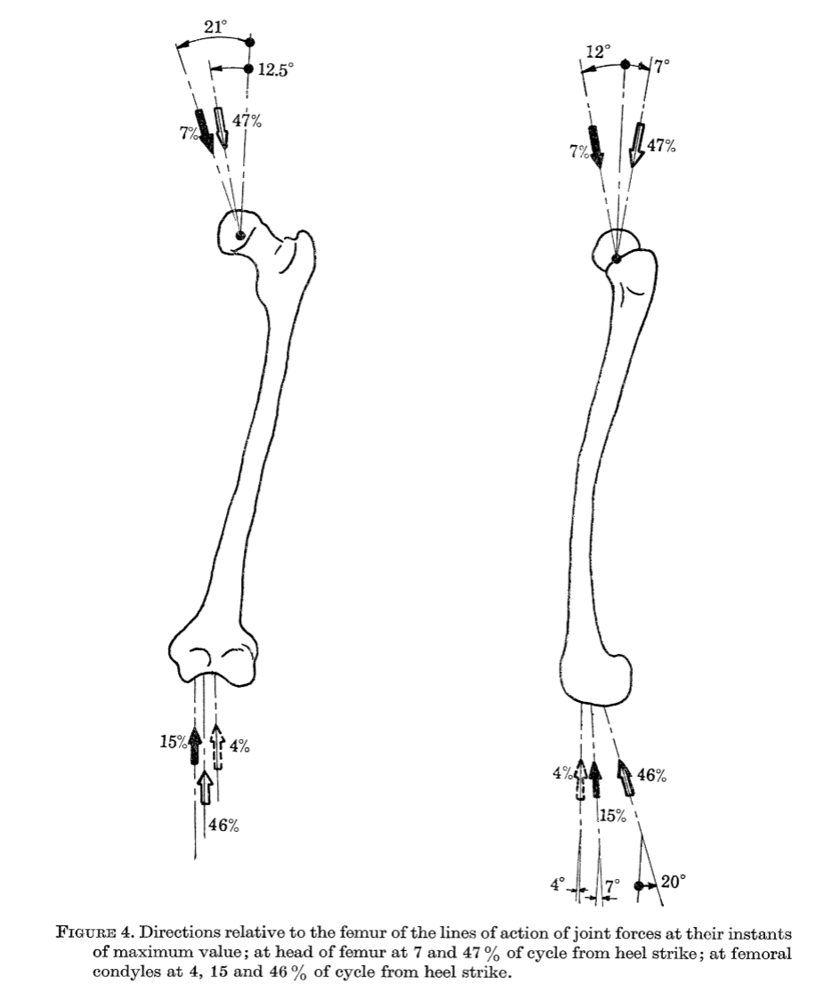 The hip and knee joint forces from Paul JP (1976).