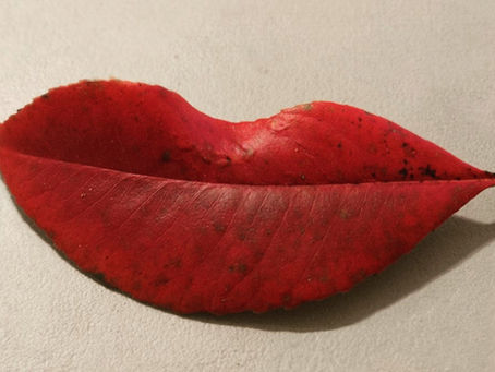 Что мы знаем о рте? I