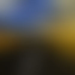 Существительные II