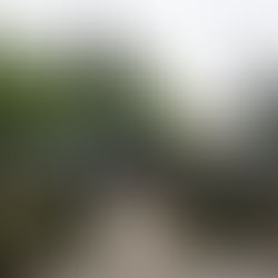 Попоем? דון קישוט – דני סנדרסון