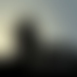 Видеть и пастись