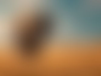 Слоны и слоновая кость