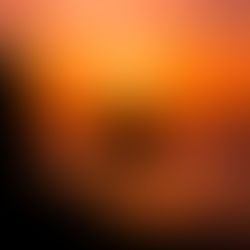 Омонимы, гаранты и тоска