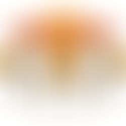 Существительные I