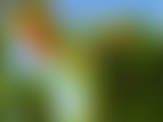 Встретимся в раю?