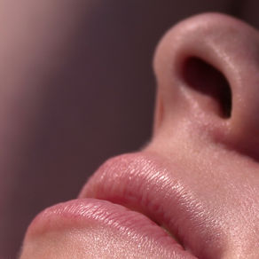 Части тела I