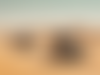 Джипы и салаты