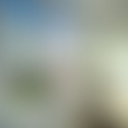 Существительные III