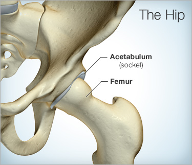 The Kinematic Sequence - Proximal to Distal (Part 1)