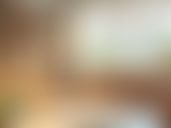 Welcome to the Little Sprouts Director Blog: Your Go-To for Updates, Tips, and Resources