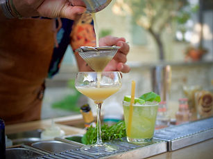 Basilic olive