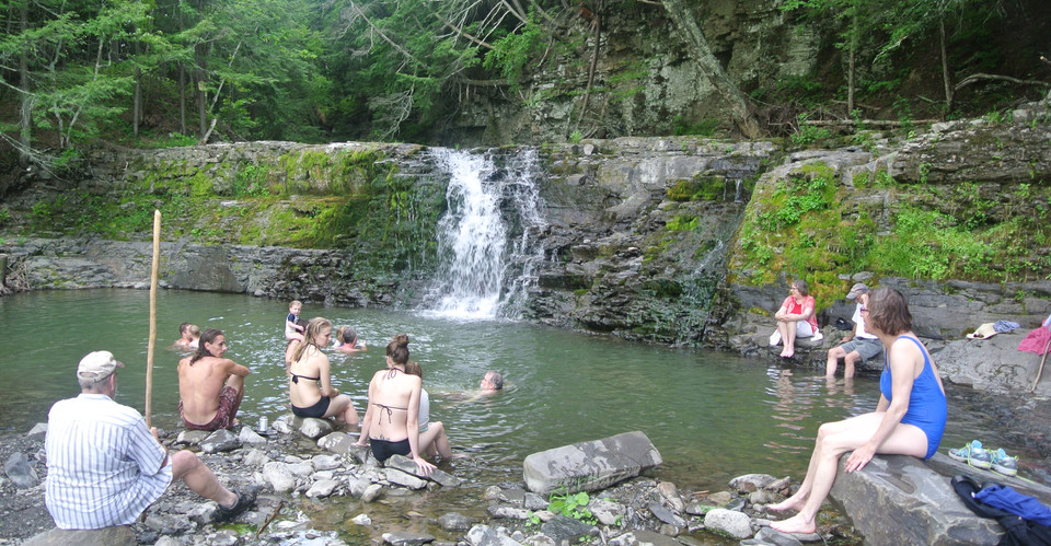 Forest Farms Camping - Photo 2