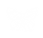Butterfly outline