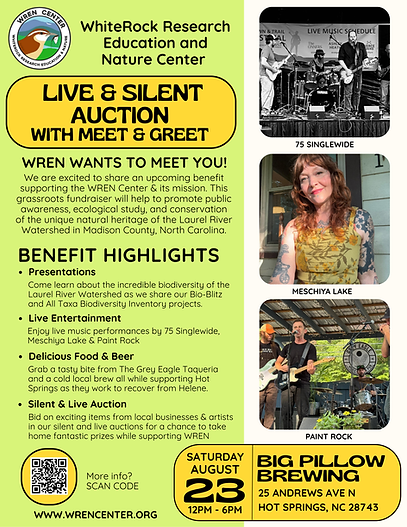 Live & silenT Auction with meet & Greet.png