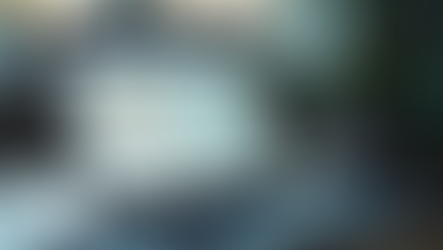 Unlock Affordable Solutions for Online Reputation Management