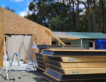 Smart SIPs OSB & Neopor - GPD SIPs.jpg