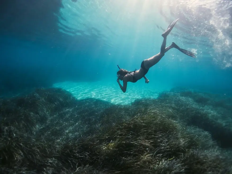 photo - a diver testing water temperature waikiki beach