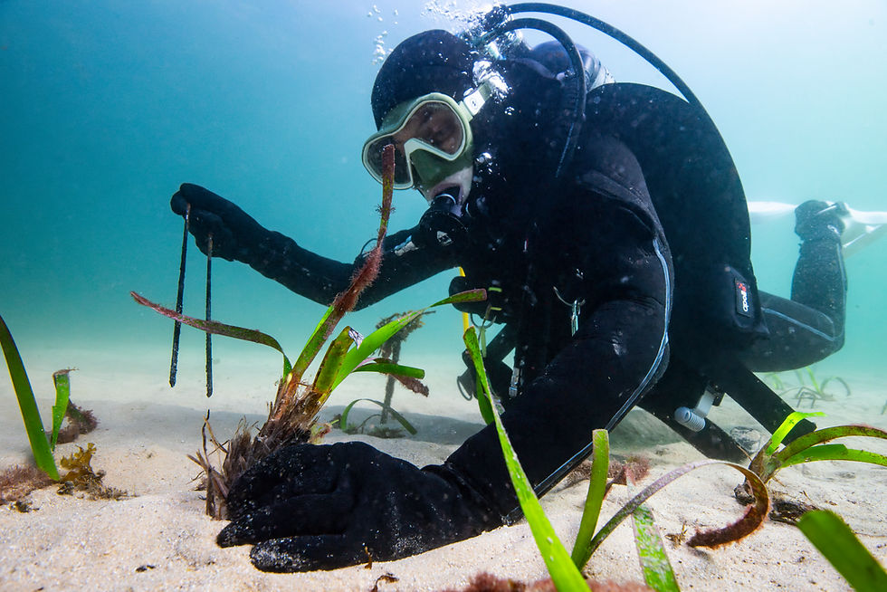 Sydney Institute of Marine Science