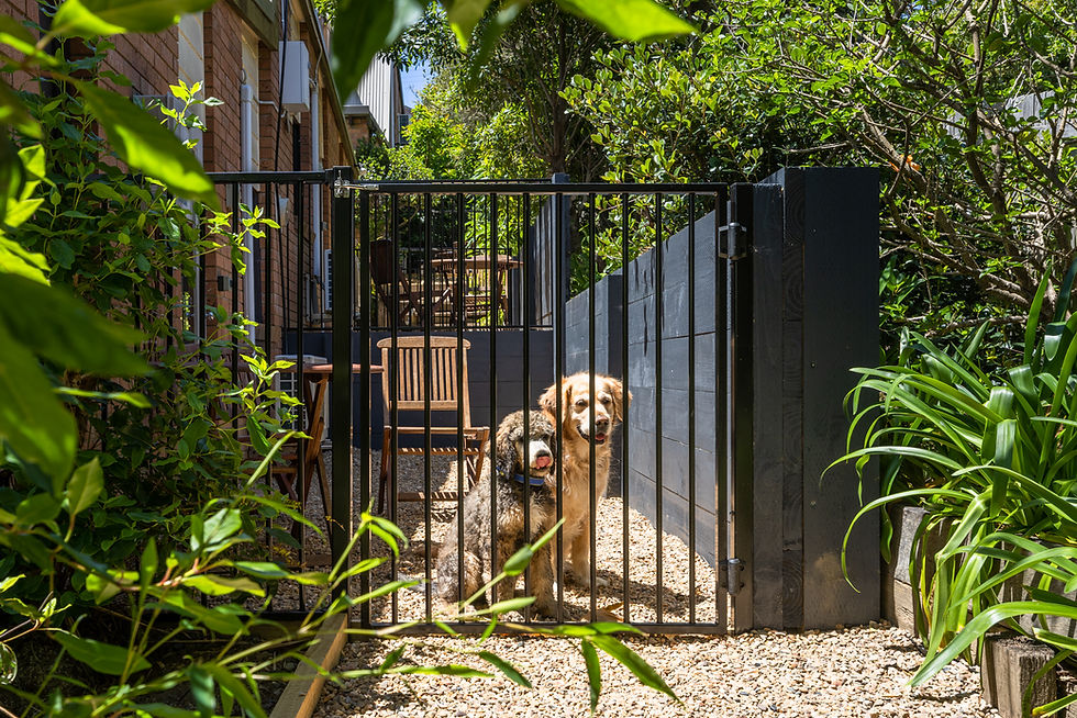The Anchorage Bermagui_Dog Area_Low Res_David Rogers Photography-7824