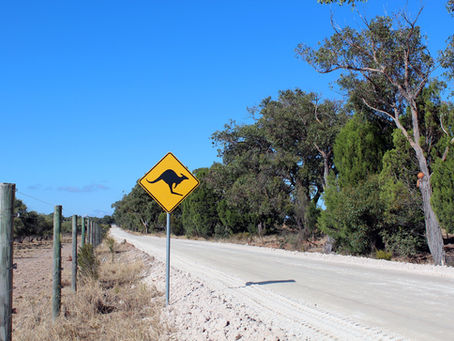 Tips for driving in the heat