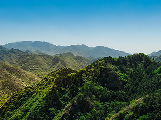 Montañas