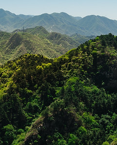 Mountains