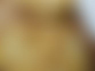 退部しました。