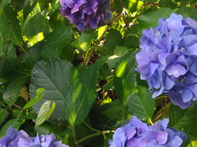 めざせ、タキさん。