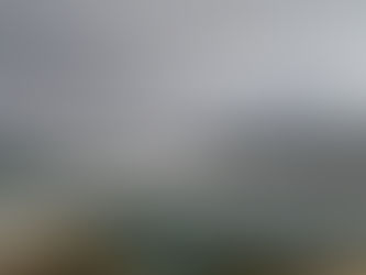 心は春の気配が。