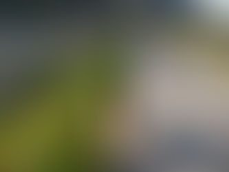 いつになったら治るんだ。