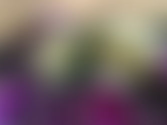 さてと、明日は何にしようか