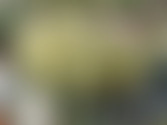 北風と南風の教訓