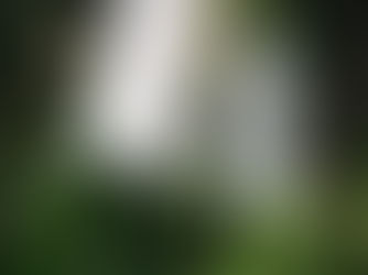 自分のことはじぶんで。・・・は正論なんだけど。