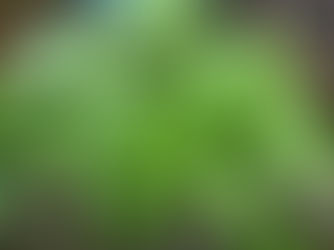 フェミ彼女読了。