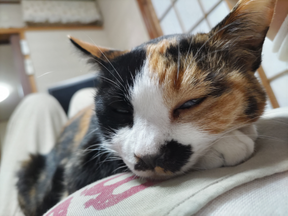 何があるかわからない