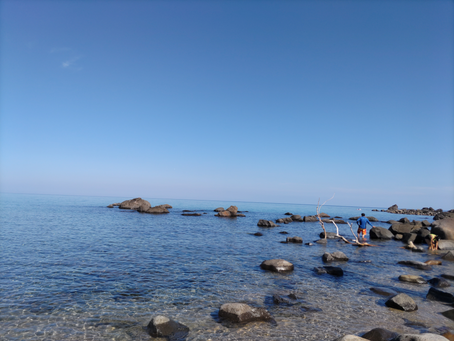今日も海の日で。