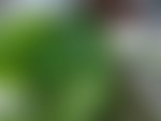 自分のカラダと付き合っていくこと